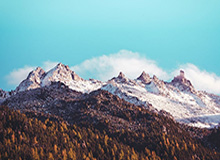 kaiyun：跨越云端的生活美学与商业新风尚